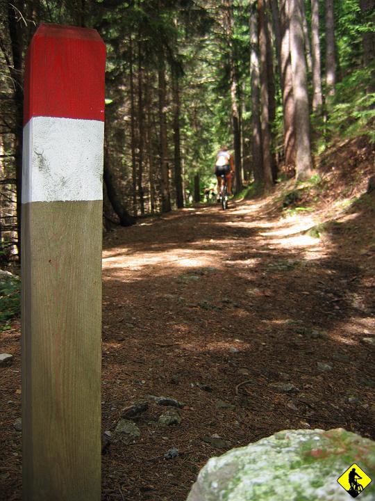 Karta1_ 170.jpg - Teren urozmaicony. Początek łatwy, potem kawałek podprowadzania/ wnoszenia, reszta to już sama jazda.